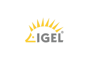 Technology partner